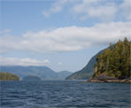 A view from the water taxi on the way to the Big Tree Trail on Meares Island
