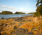 The rocky beach offers a view back towards the Tofino area along the Big Tree Trail
