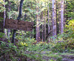 A sign marks the way to Lone Cone on Meares Island