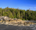 The beach, rocks, and trees along Tonquin Beach near Tofino