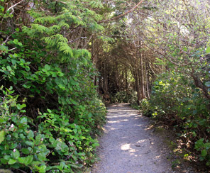 Wild Pacific Trail - Lighthouse Loop in Pacific Rim National Park ...